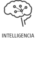 Icon_Intelligenz_web