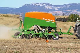 Cayena 6001