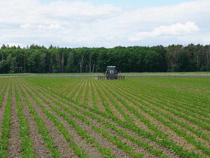 Automatische Teilbreitenschaltung mit GPS-Switch (2) Venterra_SectionControl_Ruebe_Claas_AZ_DSC00544_d0_241211_p130_CMS