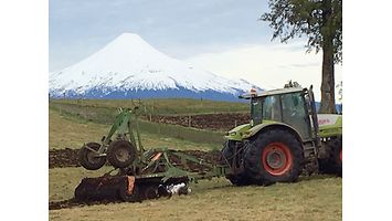 Catros_Chile_dx_IMG_0709