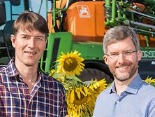 Dreyer_Christian_Dreyer_Justus_Pantera_Sonnenblumen_dx_hp_im